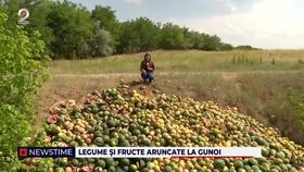 VIDEO Fermierii și-au aruncat fructele și legumele în mijlocul unui câmp